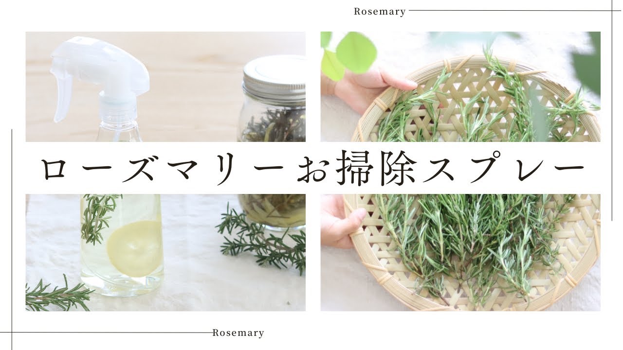 【簡単便利❗️】ピカピカ✨ローズマリーお掃除スプレーの作り方