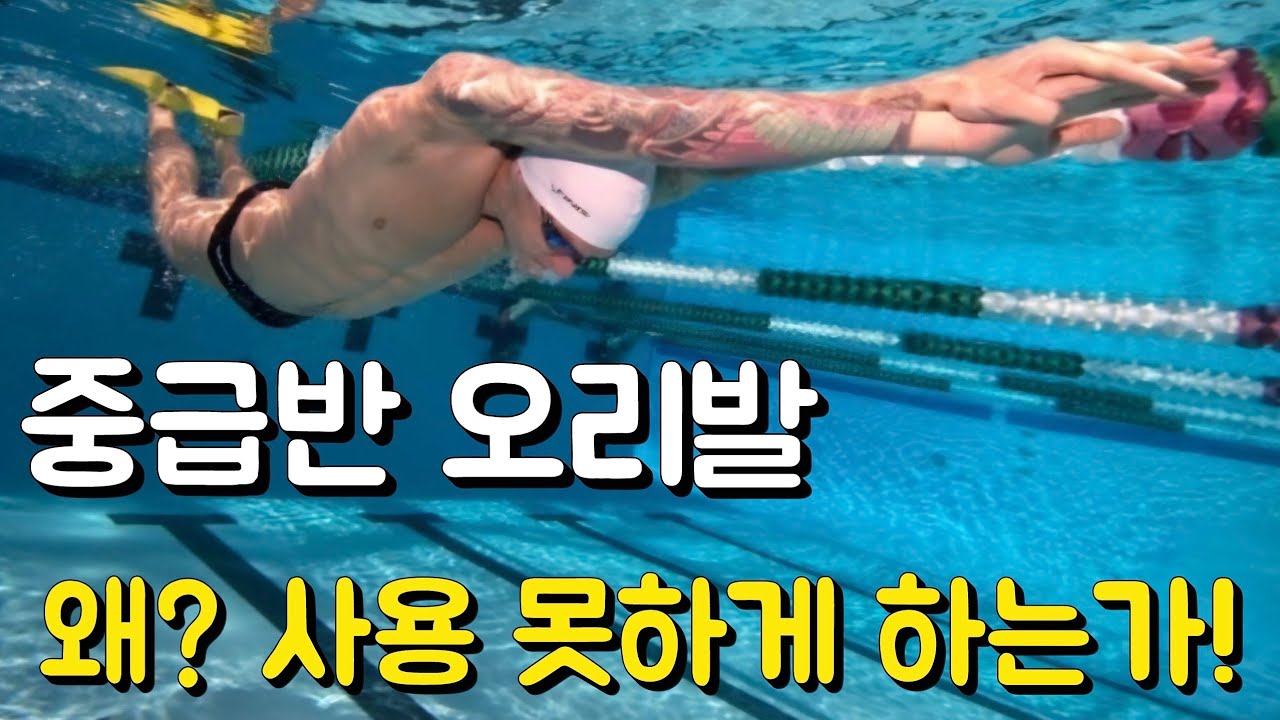 수영장 중급반에서 오리발을 사용 못하게 하는이유