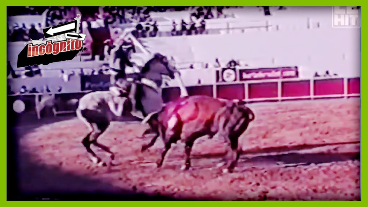 Inc&oacute;gnito: &iquest;Los animales sufren en una corrida de toros? | Crueldad animal | Telehit