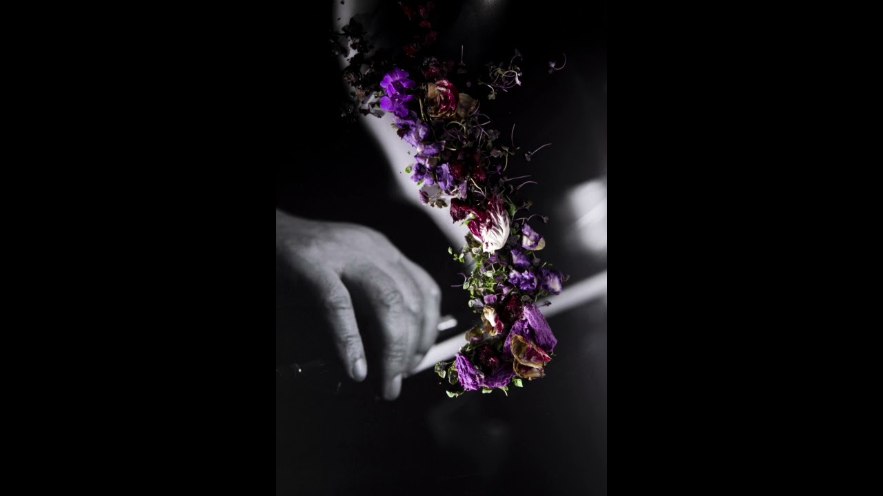 סן-סאנס:  הברבור   Saint-Saens:  The Swan