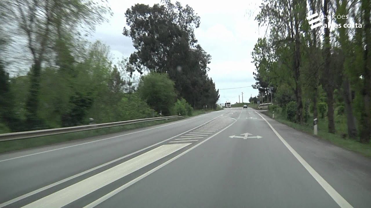 Prevenção rodoviária: Marcas orientadoras de sentido de trânsito (setas)