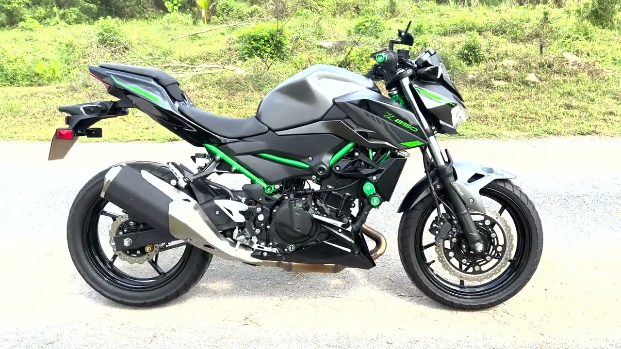 KAWASAKI Z250 ABS 2024 WALKAROUND