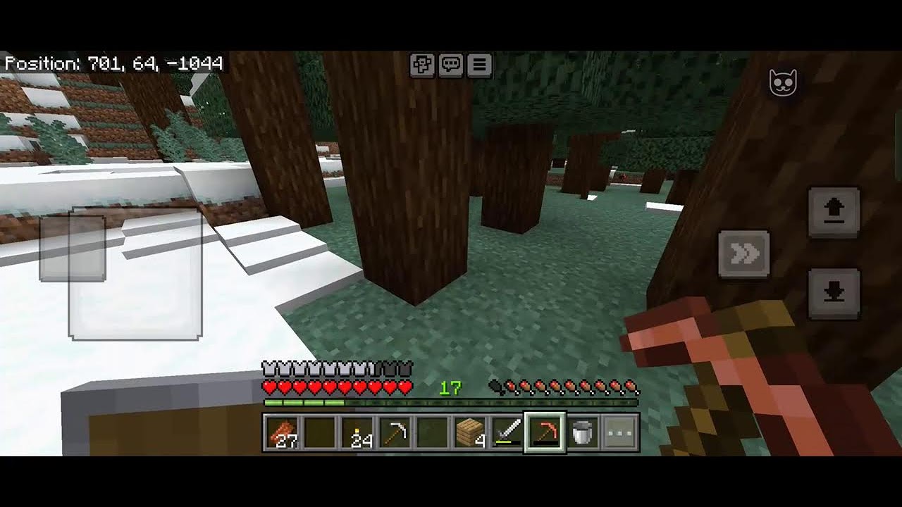 PLAYING Minecraft Day 21