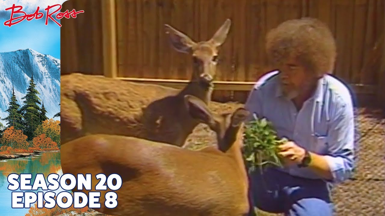 Bob Ross - The Old Oak Tree (Season 20 Episode 8)