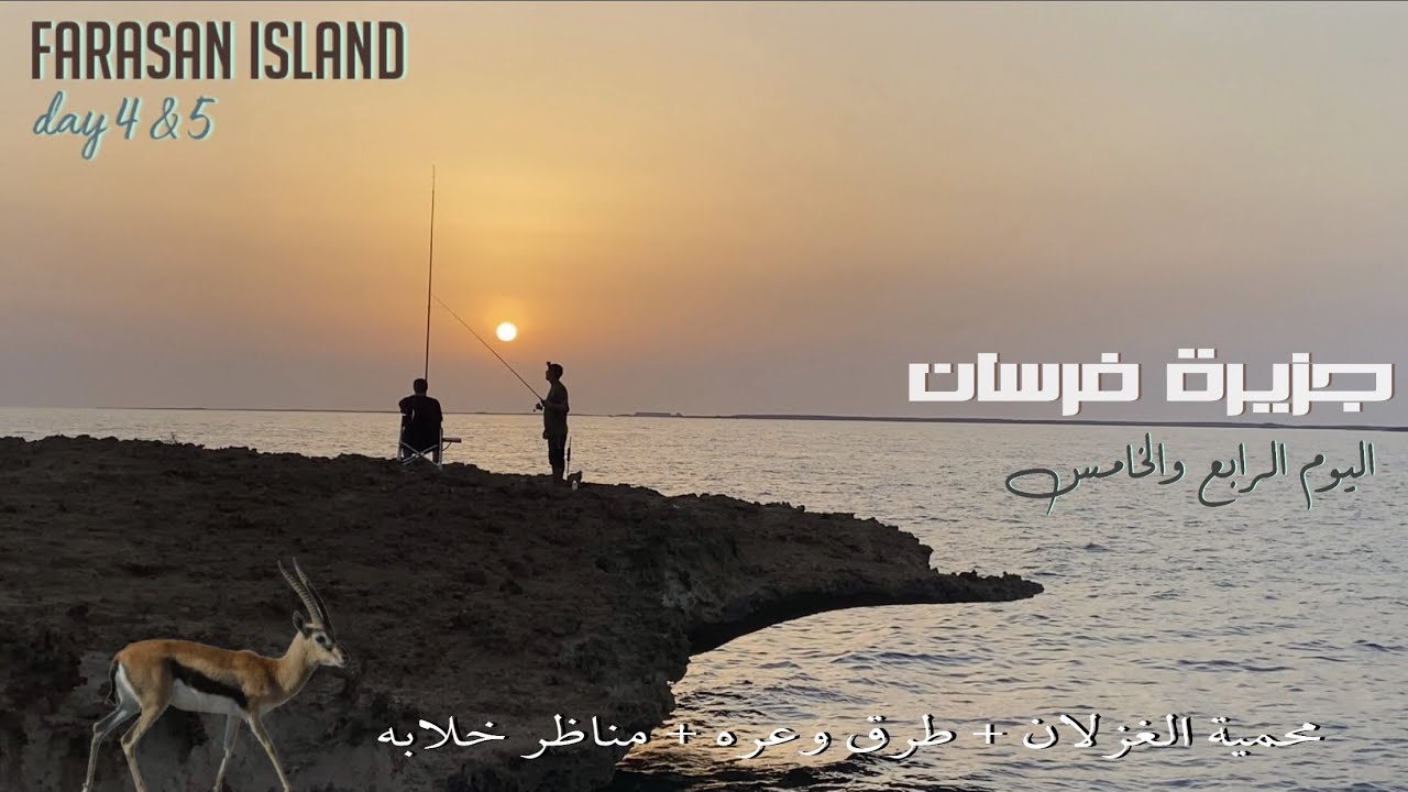 رحلة جزر فرسان ( الرابع والخامس ) farasan island trip