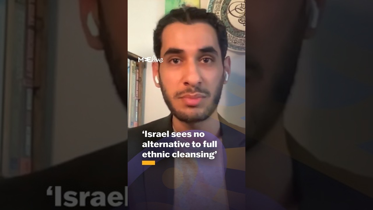 Analyst: Israel sees no way out but 'full ethnic cleansing of Gaza'