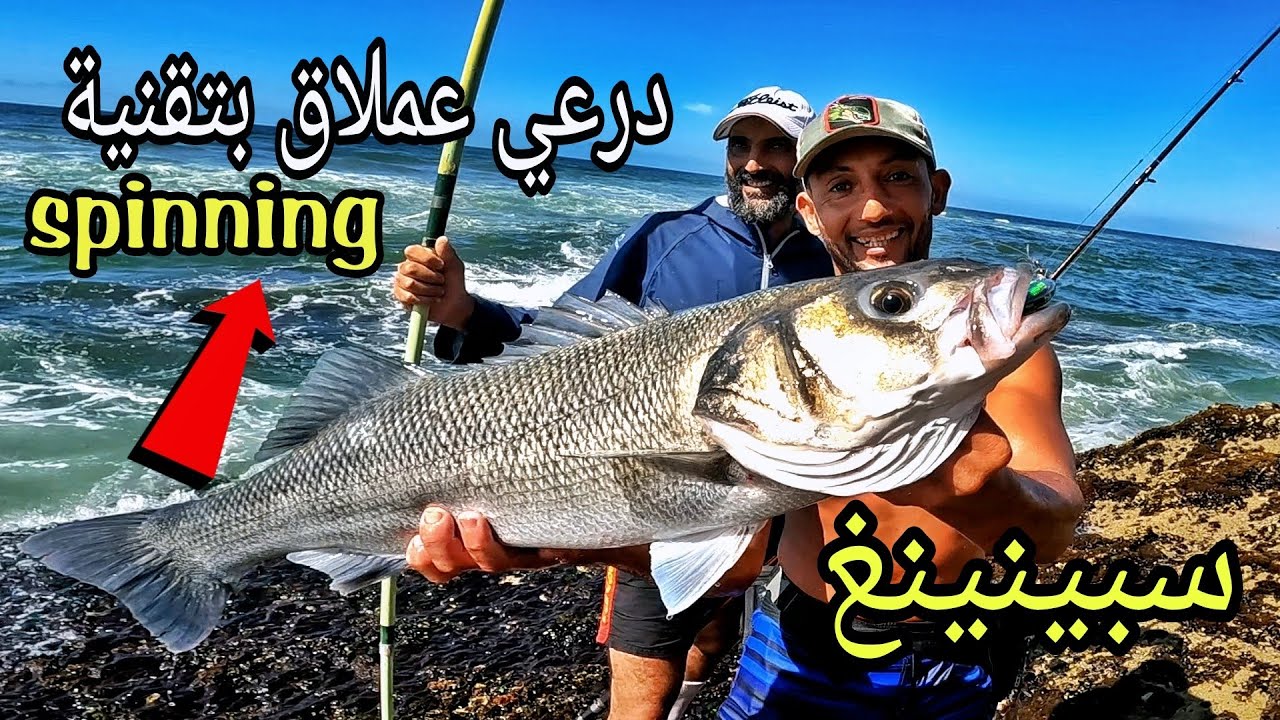 #شاهد  💥سمك الدرعي عملاق بتقنية سبينينغ 💥 spinning