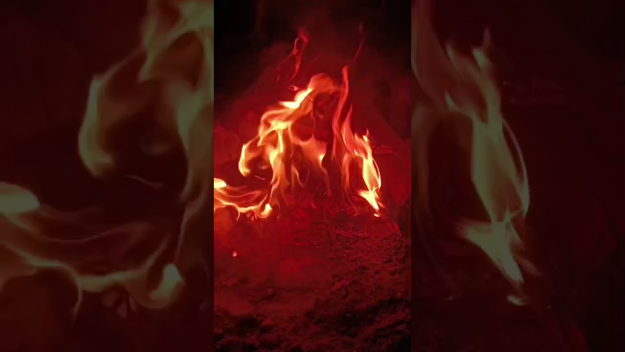 جفه وفراكم خلوش ورمه ونين يموت بصوت خادمكم محمد الكعبي 