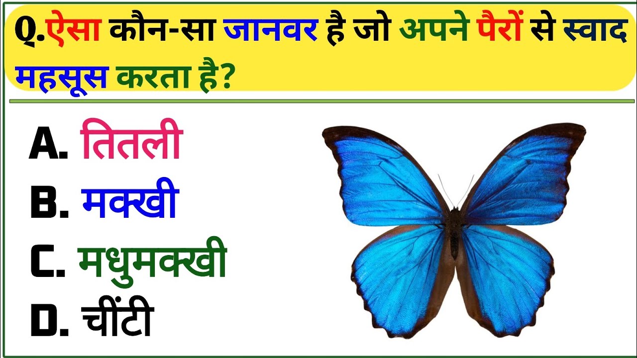 GK IN HINDI || GK QUESTION AND ANSWER || GK QUESTIONS || GK QUIZ ||
