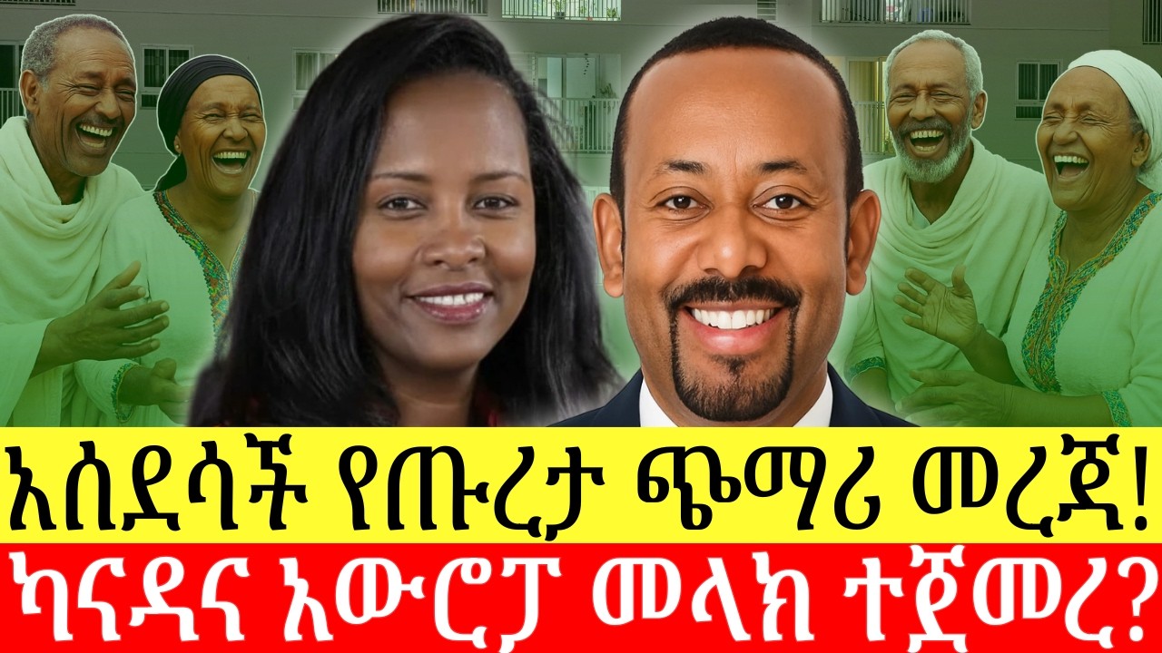 ለጡረተኞች ምን ታስቧል? ምን ተስፋ አለው? ካናዳና አውሮፓ መላክ ተጀመረ? ሮማኒያስ? ዜና በአማርኛ | Addis Business