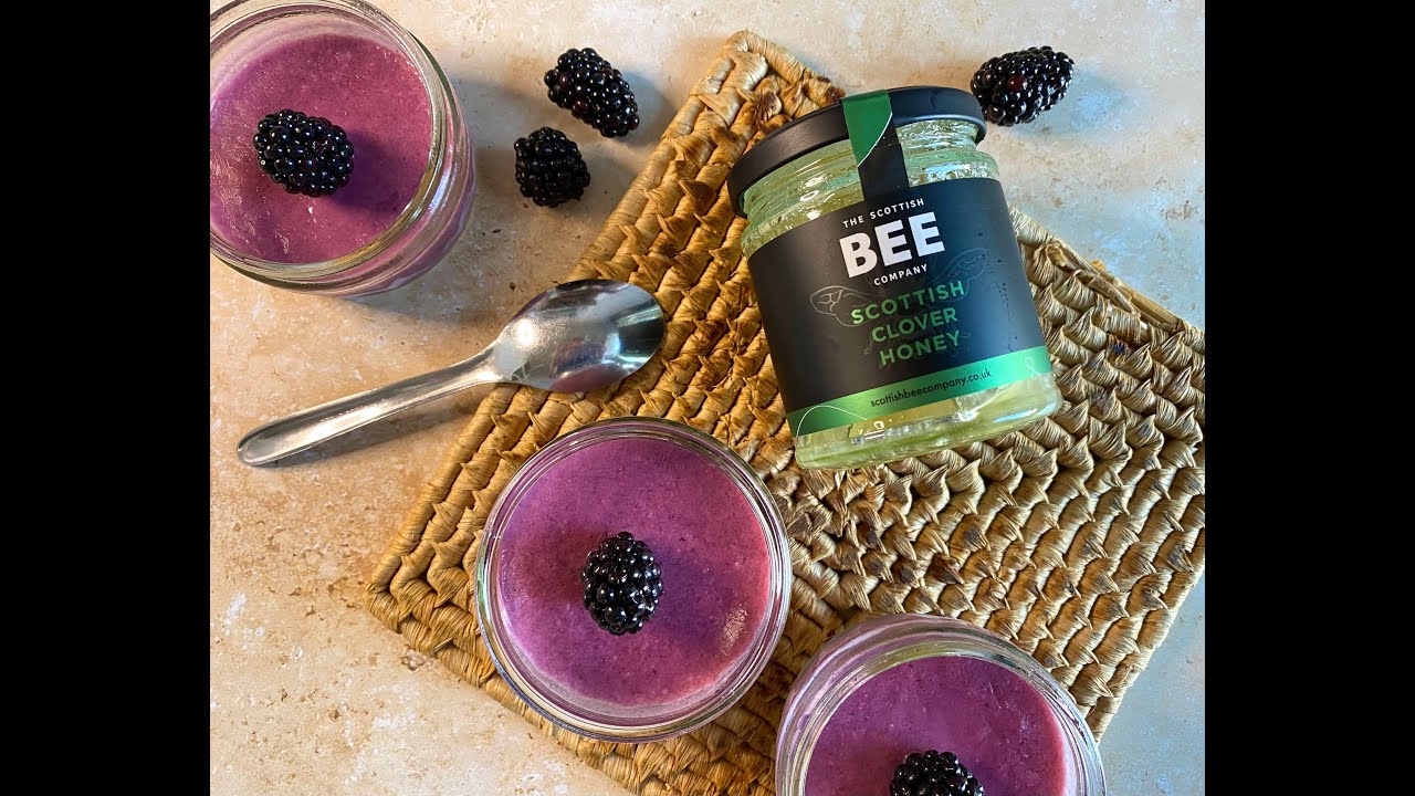 Blackberry & Honey Frozen Yoghurt
