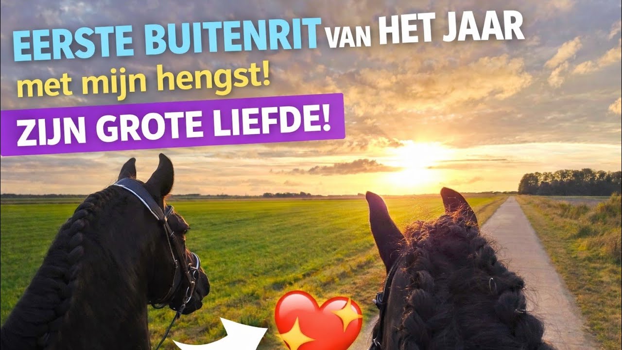 Hengst + merrie op buitenrit&hellip; met gepaste afstand! 🐎❤️