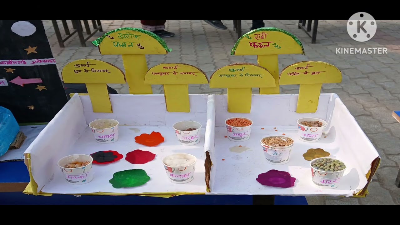 T.L.M.मेला ( प्रखंड स्तरीय)