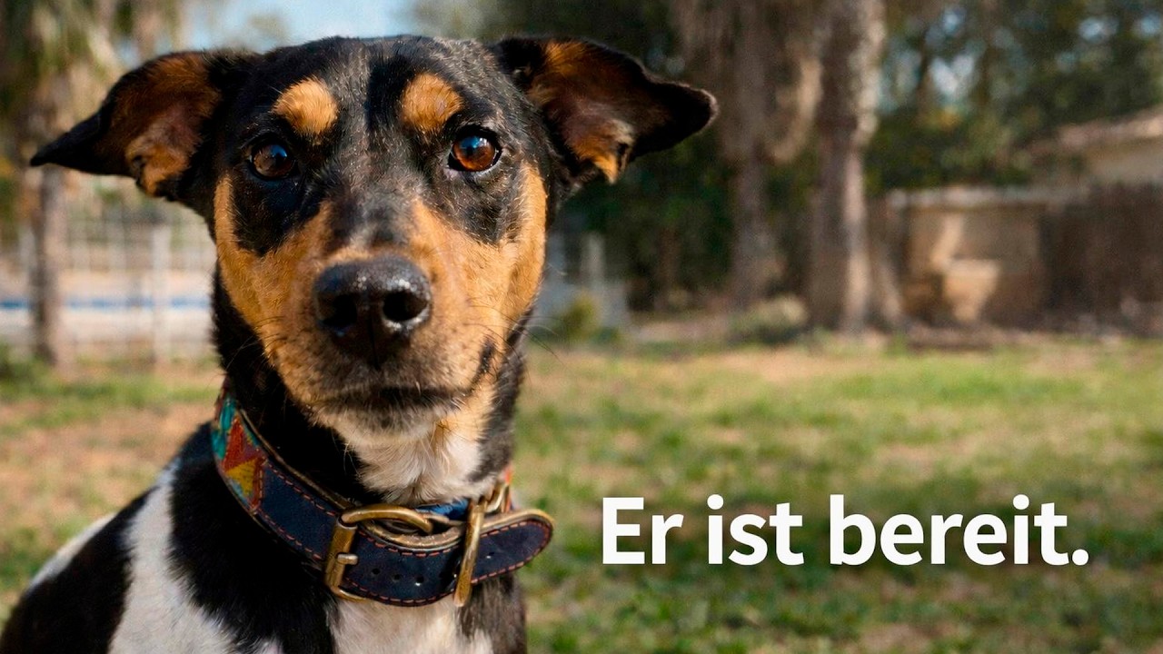 Einer geht. Einer bleibt
