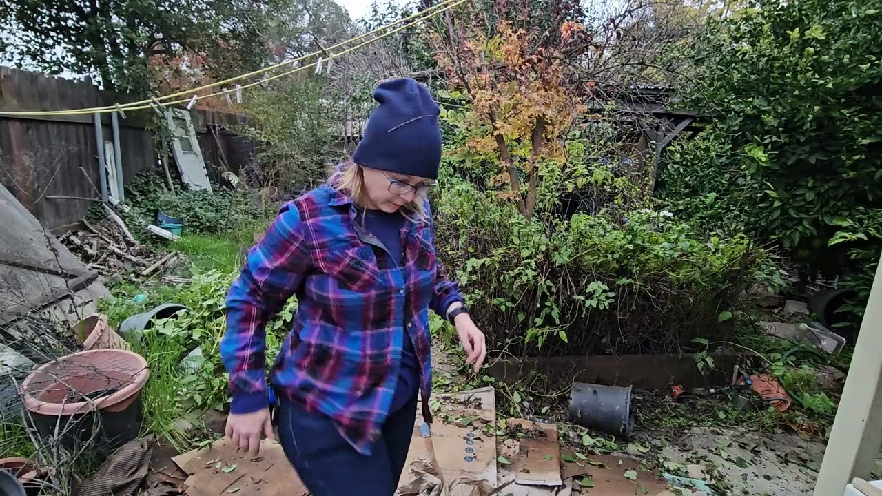 12-06-2025: Yard Vlog 2: Same Old Stuff