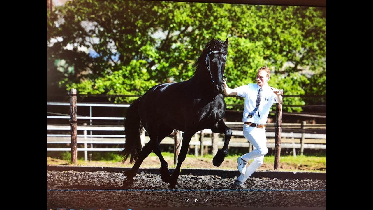 KFPS Wilma's vlog X - Op bezoek bij trainingsstal FE Horses