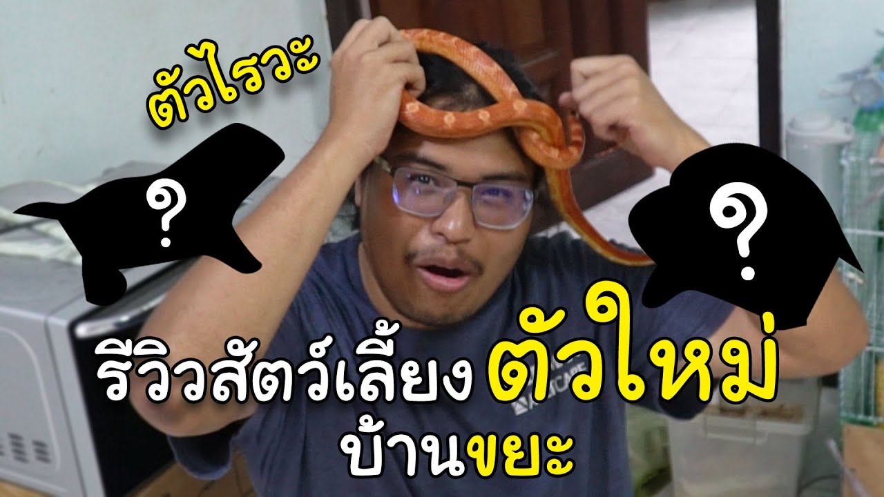 สัตว์เลี้ยงประหลาดของบ้านขยะ คนไม่เข้าใจเลี้ยงไม่ได้!!