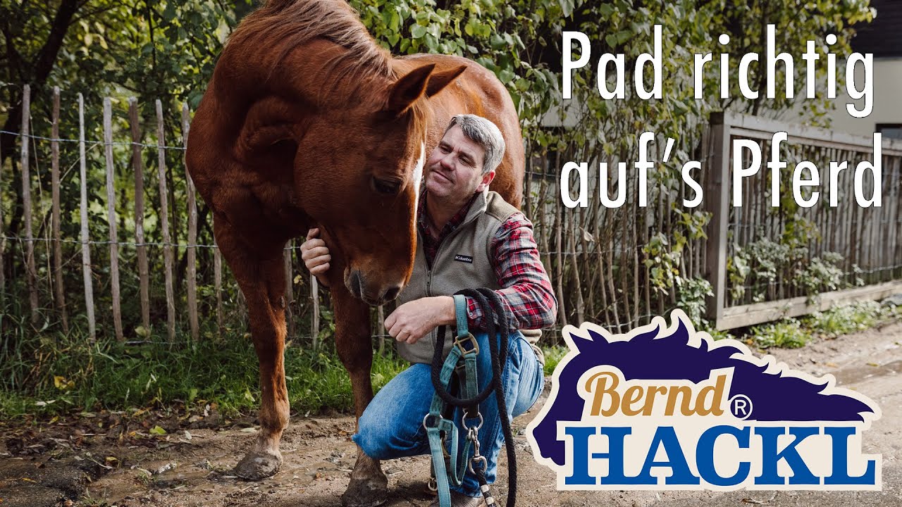 Pad richtig aufs Pferd I Bernd Hackl erklärt! 🐴