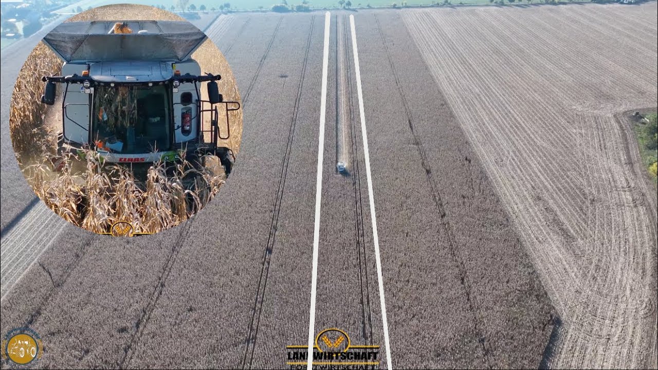 Wir dreschen die lange Fläche! 4500ha Körnermais Ernten LU WESTHOFF im Lohnauftrag Claas 7600 Lexion