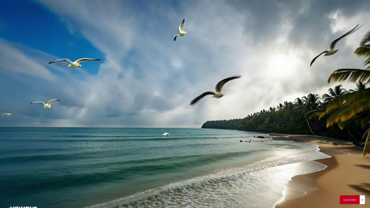 Reggae Music Mix 2025  😍  Best Reggae Love Beach Songs ,Top Reggae Special Relax  Music Special 5