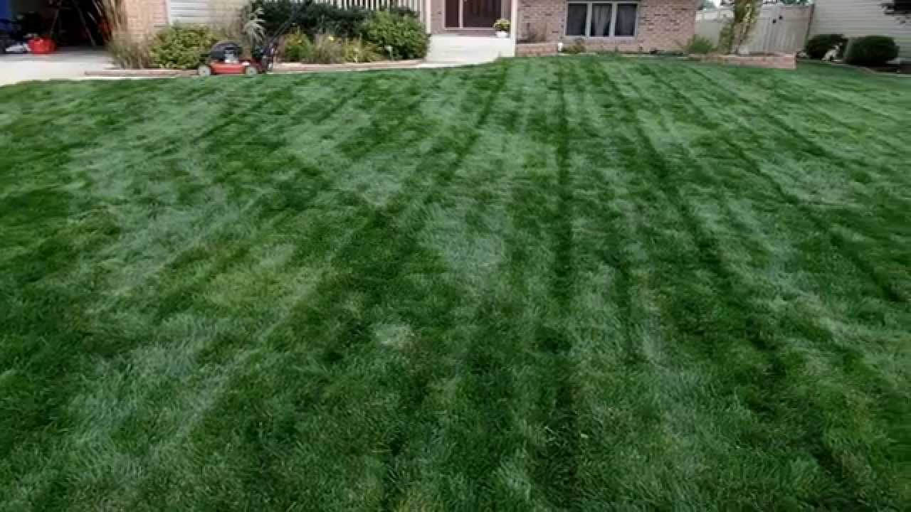 How To Mow A Tall Overgrown Lawn