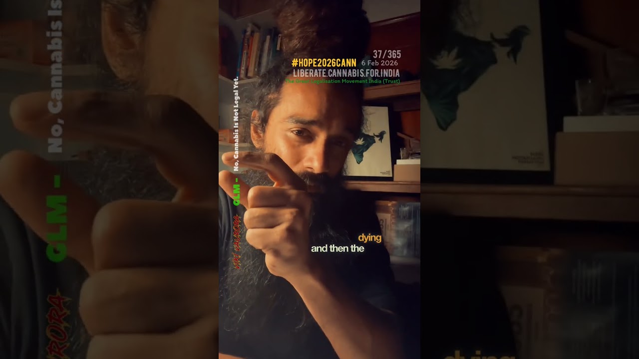 No. Cannabis is Not Legal Yet. 