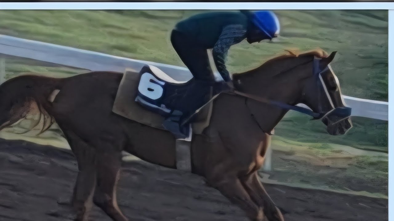 GOD of THUNDER/OF A REVOLUTION SOPHIE SAY SO   take a look at them Caymanas Park Exercise Track 