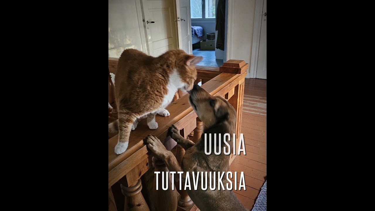 luukku 15