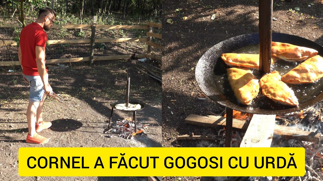 CORNEL A FĂCUT GOGOSI CU URDĂ LA CASUTA DIN PĂDURE