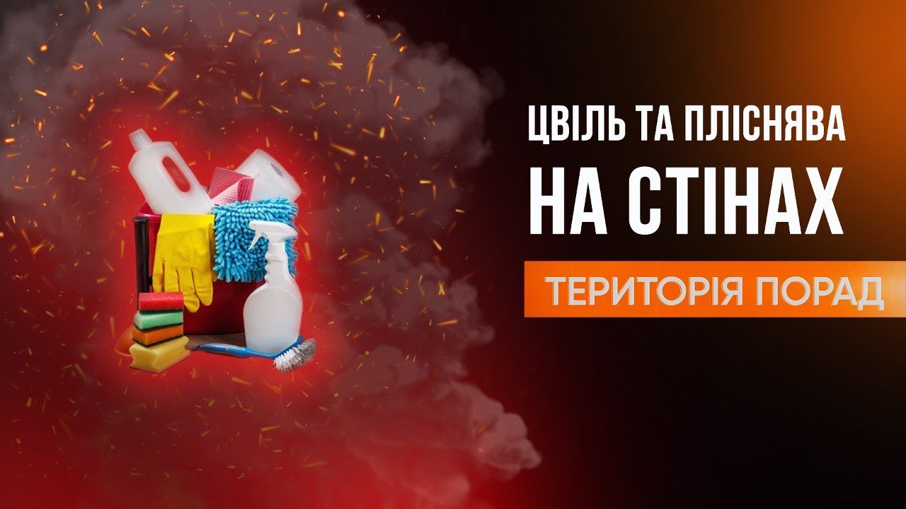 «Територія порад» Цвіль та пліснява на стінах