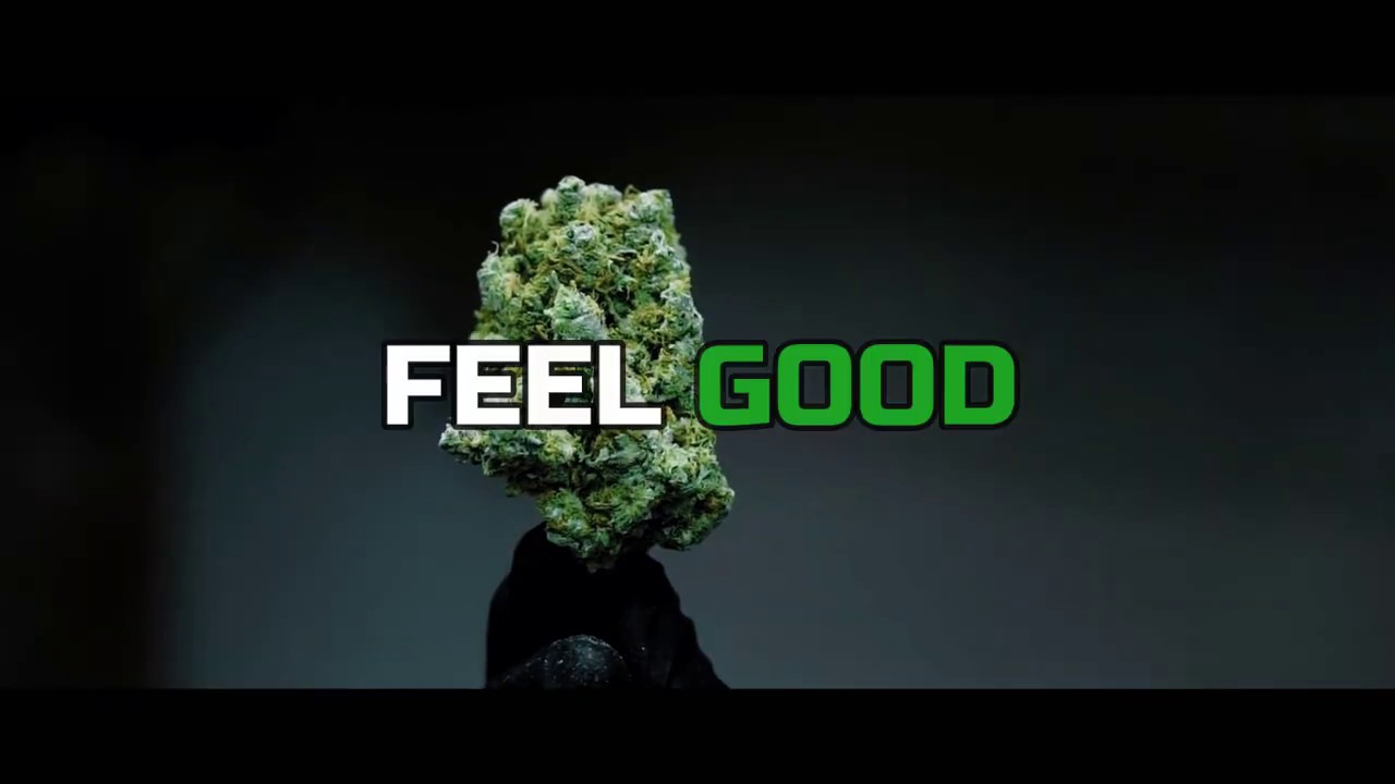 Choisissez un CBD de qualit&eacute; en France