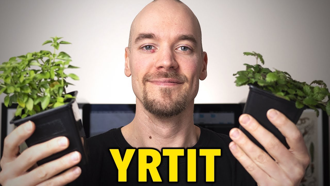 Yrttien kasvatus - Käytännön vinkkejä esikasvatukseen