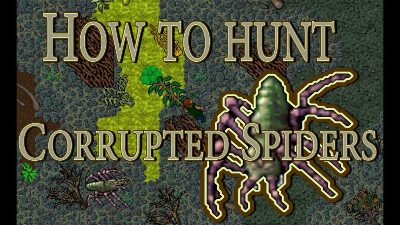 MEDIVIA - How to hunt Corrupted Spiders