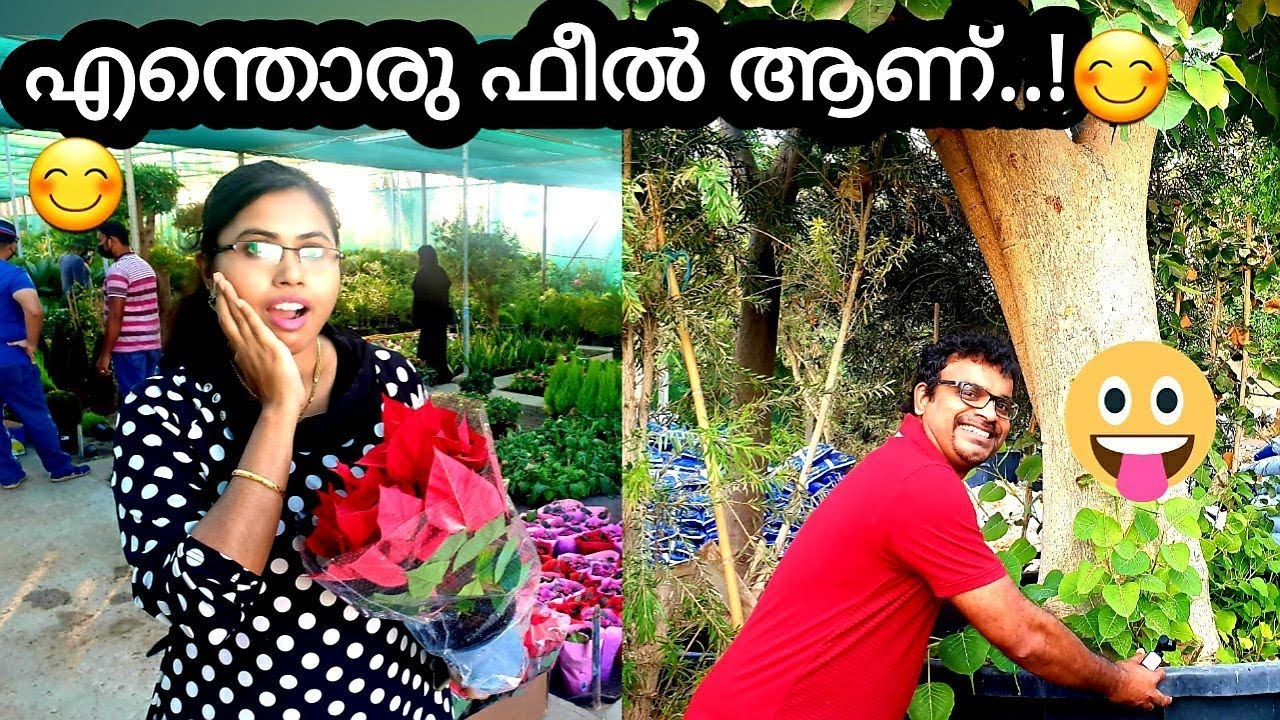 എന്തൊരു ഫീൽ ആണ് |Al Naimi Plant Nursery Qatar|Places To Visit Qatar