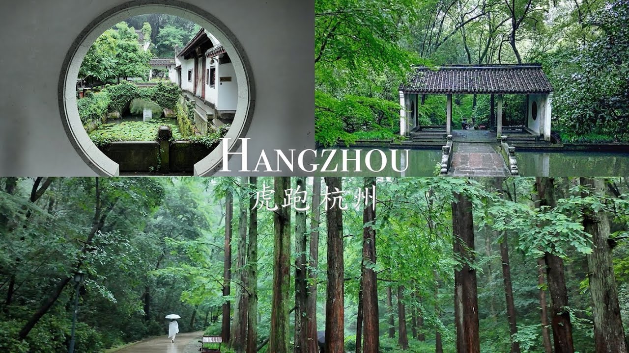 Listening to Rain at Hupao Spring | Hangzhou Slow Living Rainy Walk & Nature ASMR｜杭州下雨的一天，一个人开车去了虎跑泉