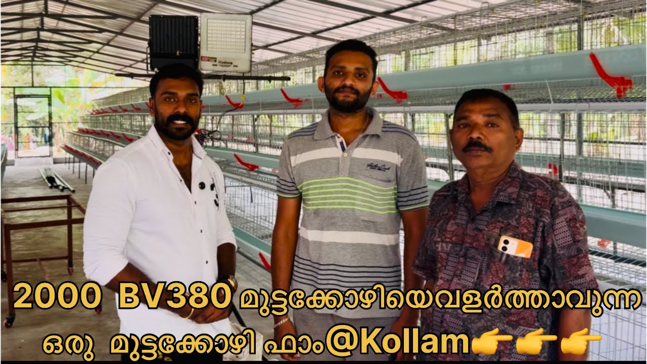 മികച്ച രീതിയിൽ വരുമാനം കിട്ടുന്ന Hi-Tec മുട്ടക്കോഴി ഫാം നിർമ്മാണം call 8289812614