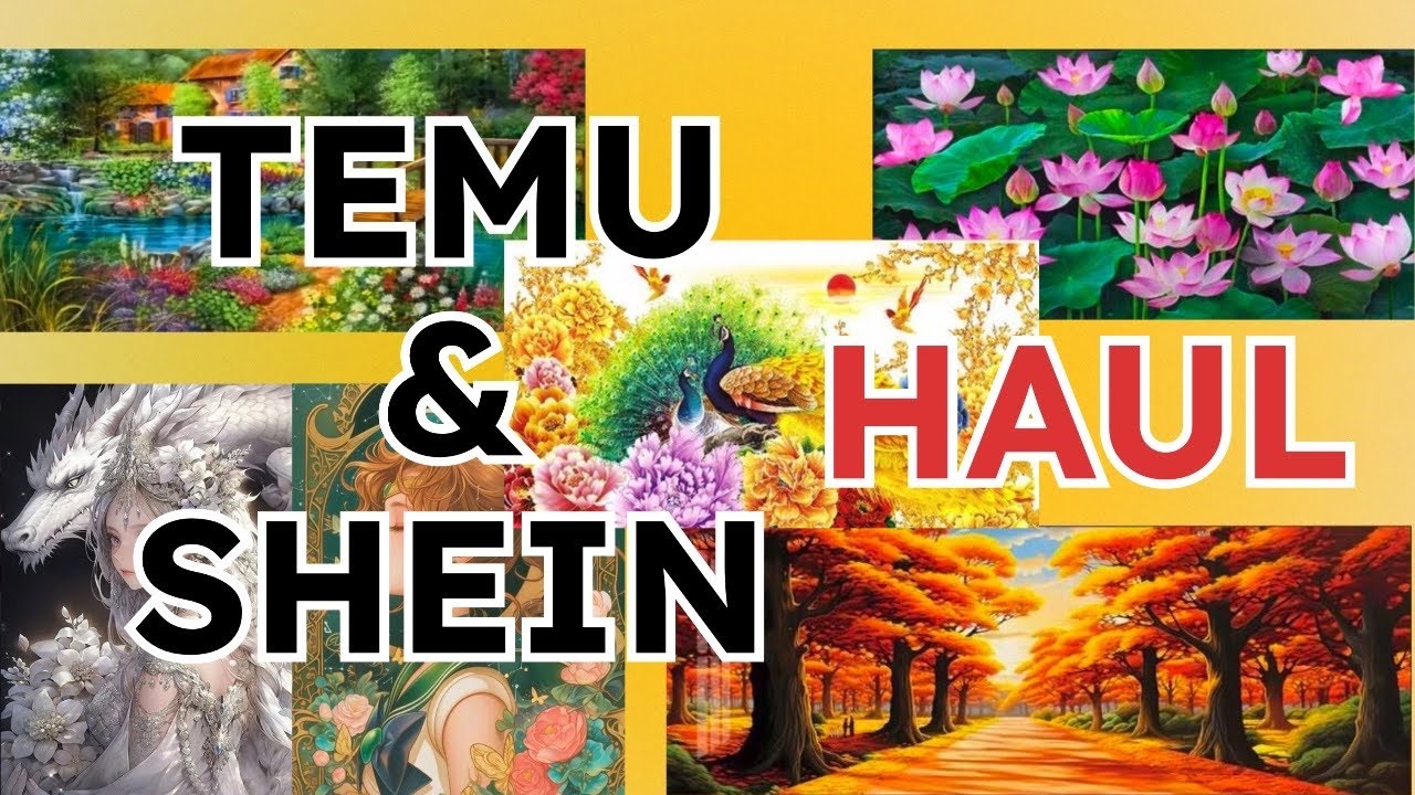 TEMU & SHEIN Haul