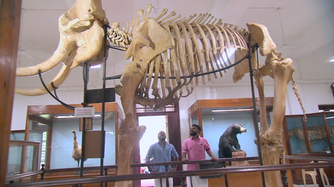 Udan Panam l At Thrissur Zoo and Museum l Mazhavil Manorama