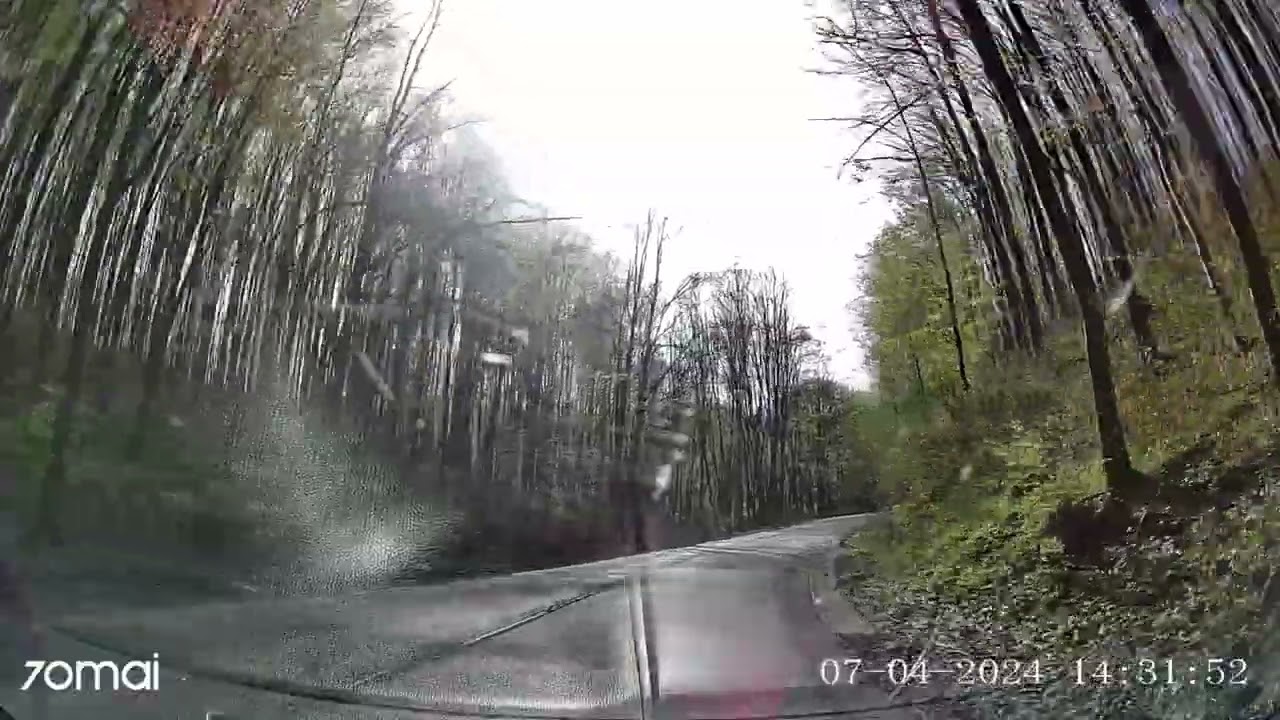 Boldogkőv&aacute;ralja, Boldogkői v&aacute;r, 2024.04.07.,  5.r&eacute;sz - &Uacute;ti-vide&oacute; (Lillaf&uuml;red - B&uuml;kki Csillagda)