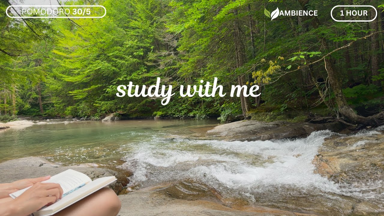 1-HOUR STUDY WITH ME [Pomodoro 30/5] Nature Sounds 🍃🌱 / No Music /Nature Ambience / Timer, 4k
