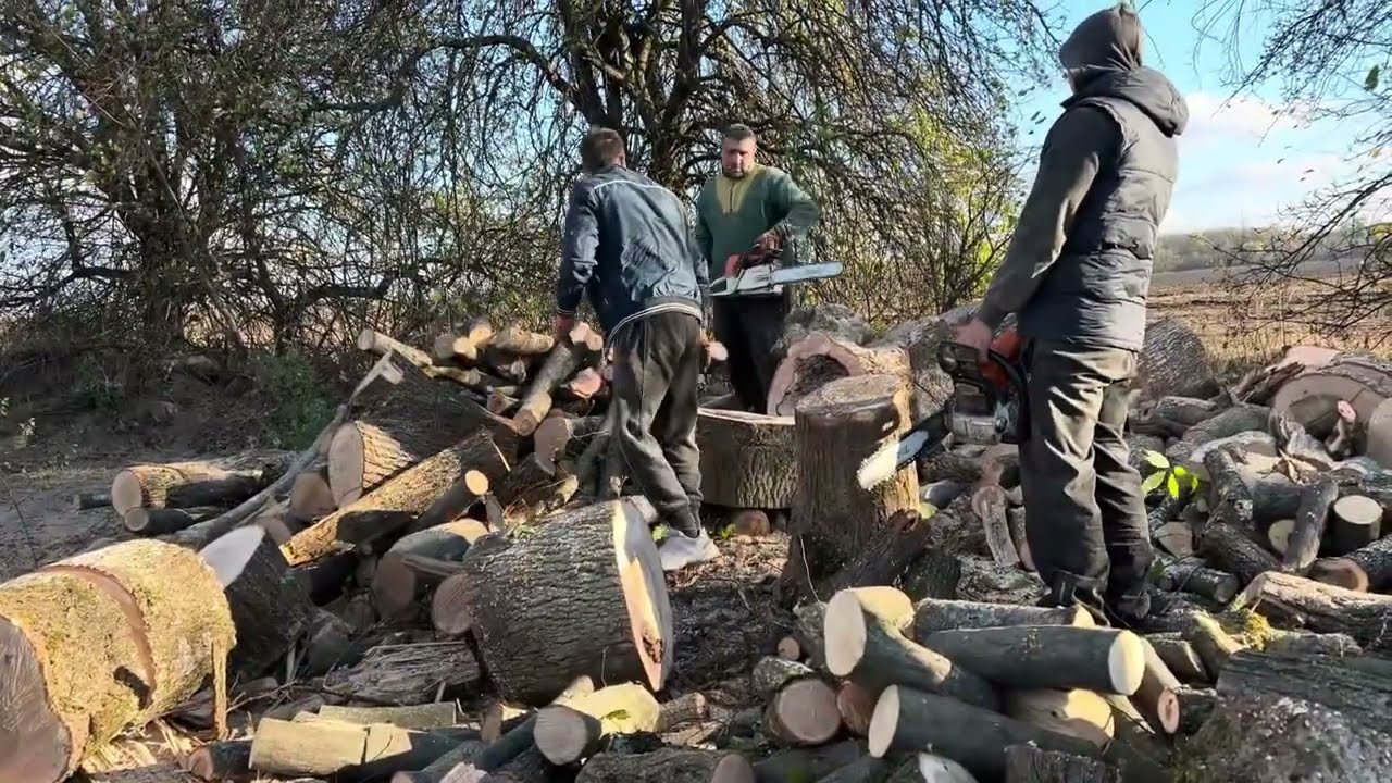 🔥🔥🔥🌳🌳🌳