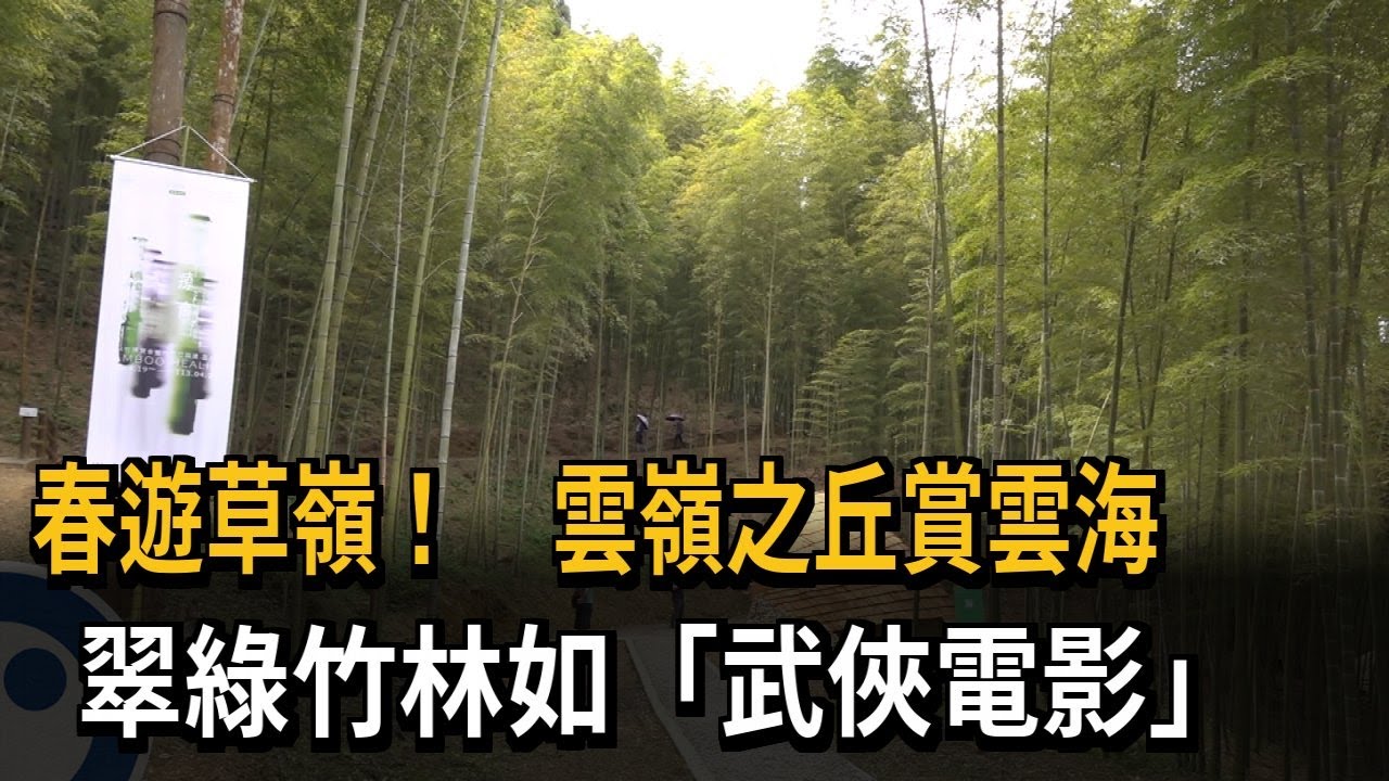 春遊草嶺! 雲嶺之丘賞雲海 翠綠竹林如
