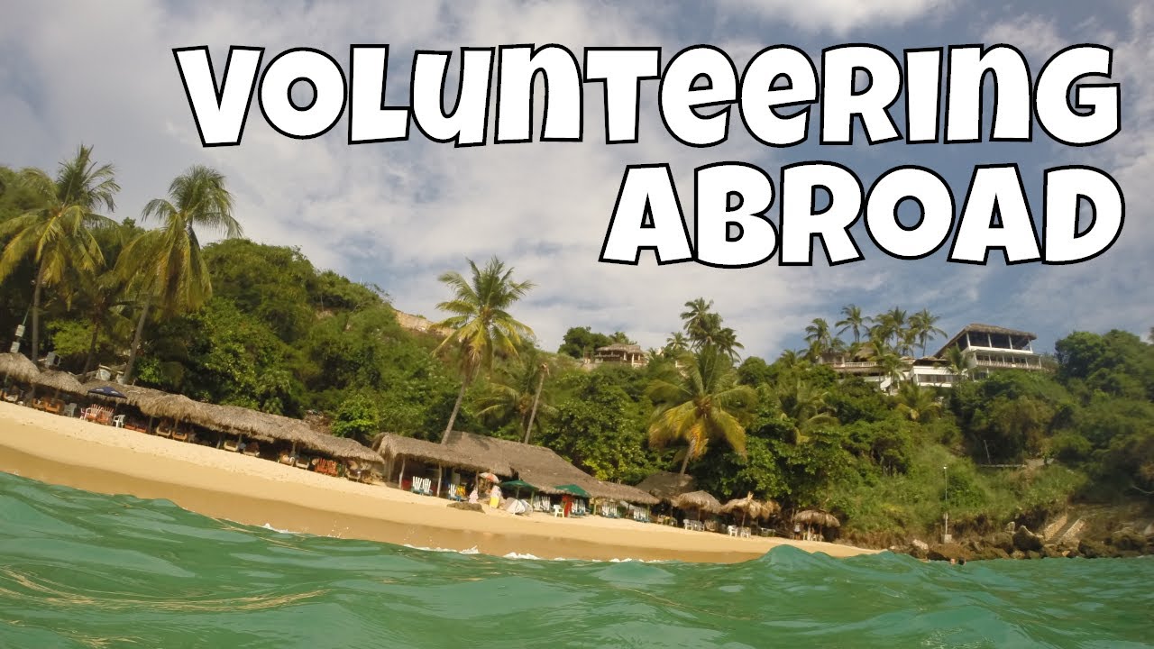 Volunteering Abroad! Travel for months in your dream spot  (WorkForAvocados #6)