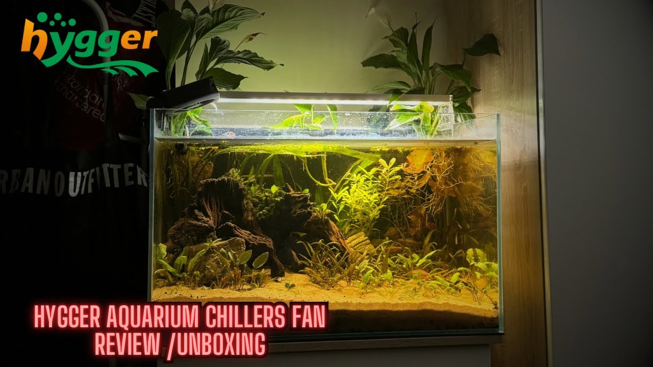 Hygger Aquarium Chillers Fan - Review / Unboxing