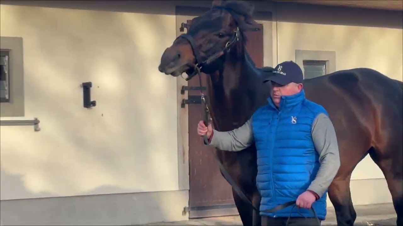 Irish Stallion Trail 2026.  3. rész