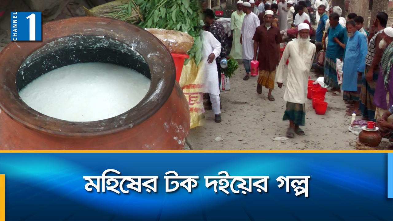 শেরপুরের শতবছরের ঐতিহ্য মহিষের টক দই | Channel One News
