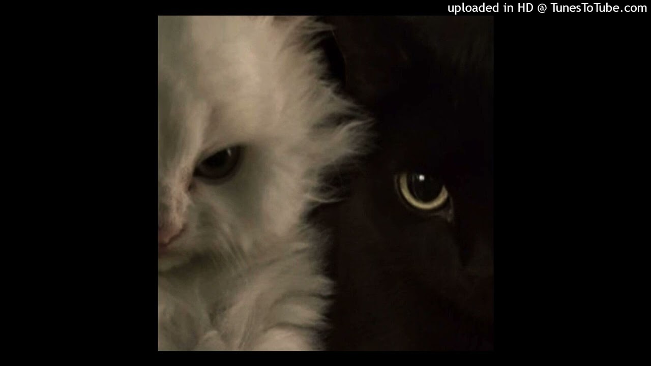 (free) post punk X grunge type beat ~ 