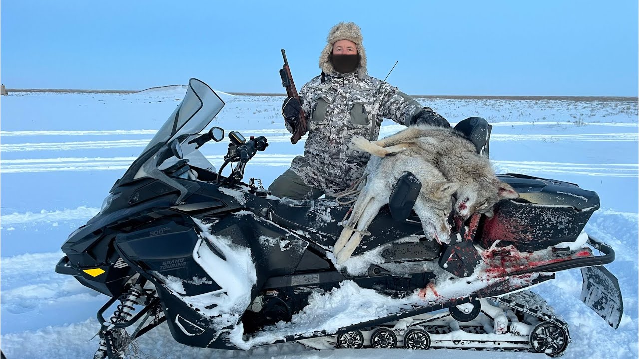ВОЛКИ ЗАГУБИЛИ КОРОВУ, ДОГНАЛ С ОБРЕЗОМ, охота на волков/wolf hunting