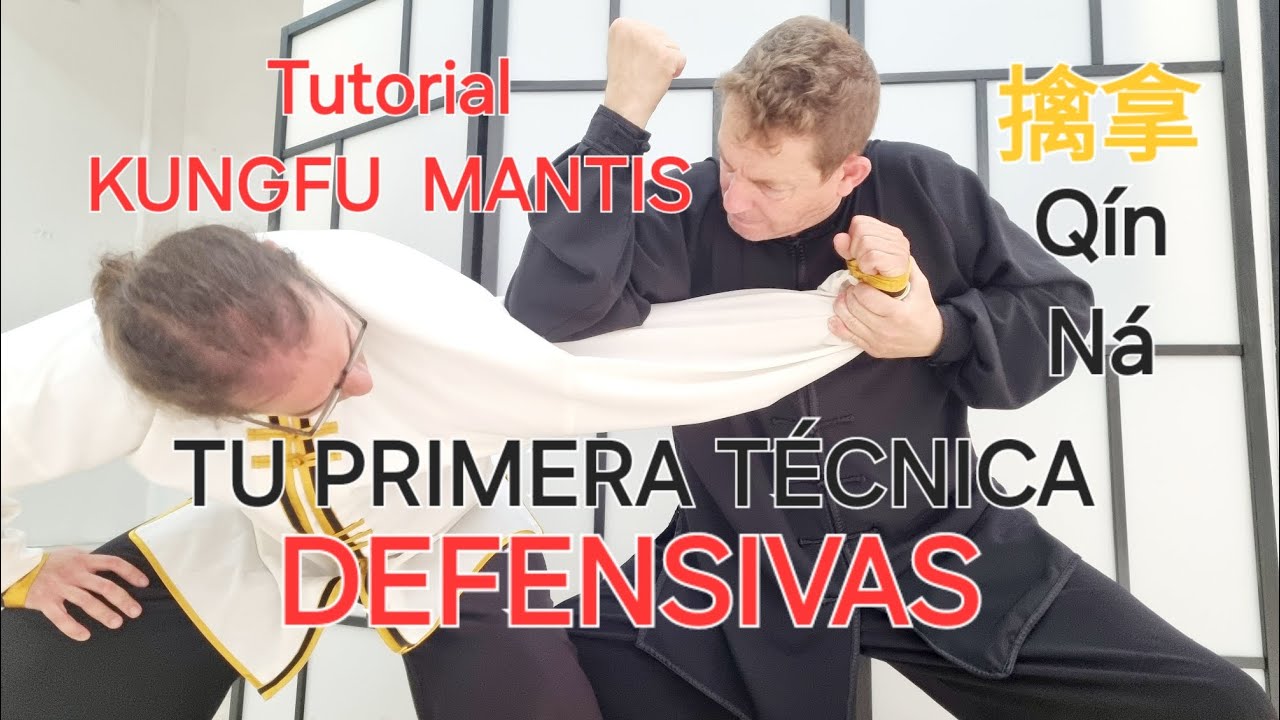 QUE NADIE TE AGARRE DE LA SOLAPA TUTORIAL KUNGFU MANTIS #chinesemartialarts #tanglangquan #qinna