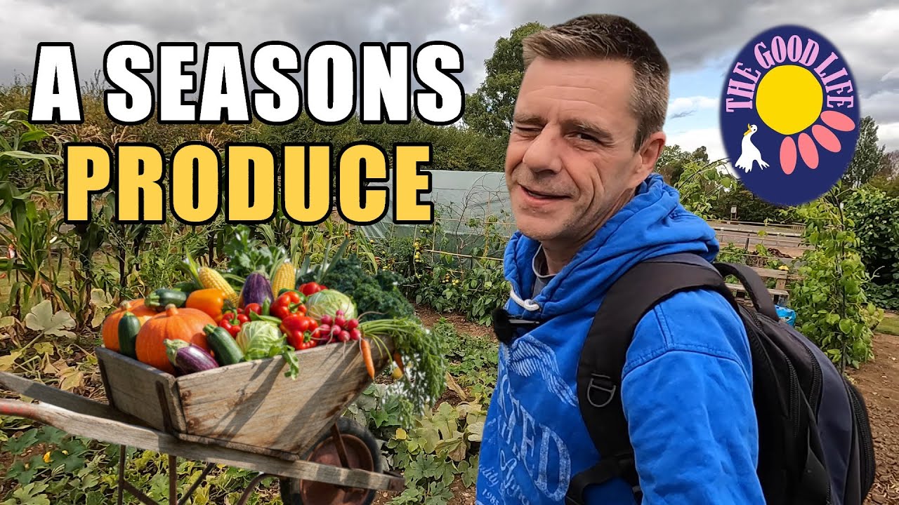 A Productive Season On The Plot #allotmentlife